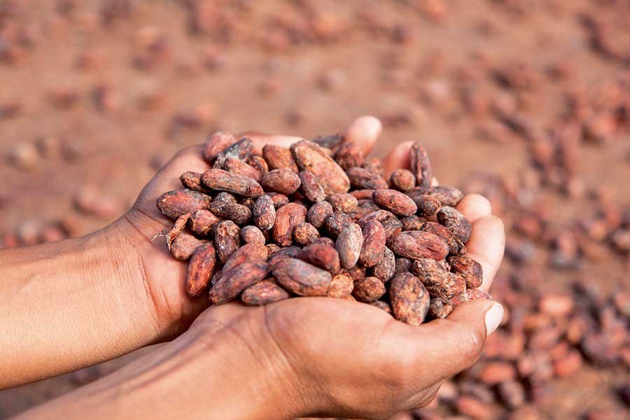 Dekoratives Bild Dekoratives Bild