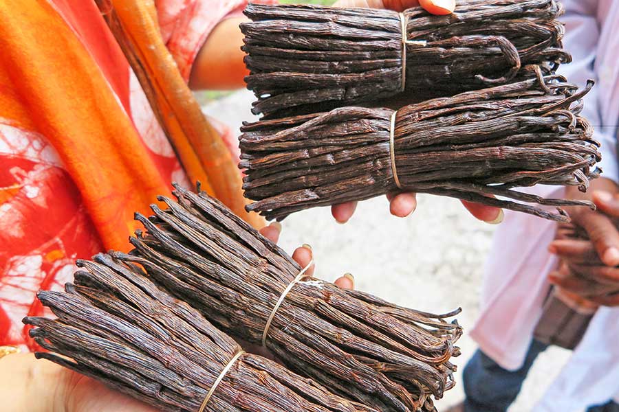 Dekoratives Bild Dekoratives Bild